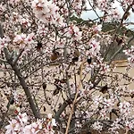 Rurales La Capellania De 아파트호텔