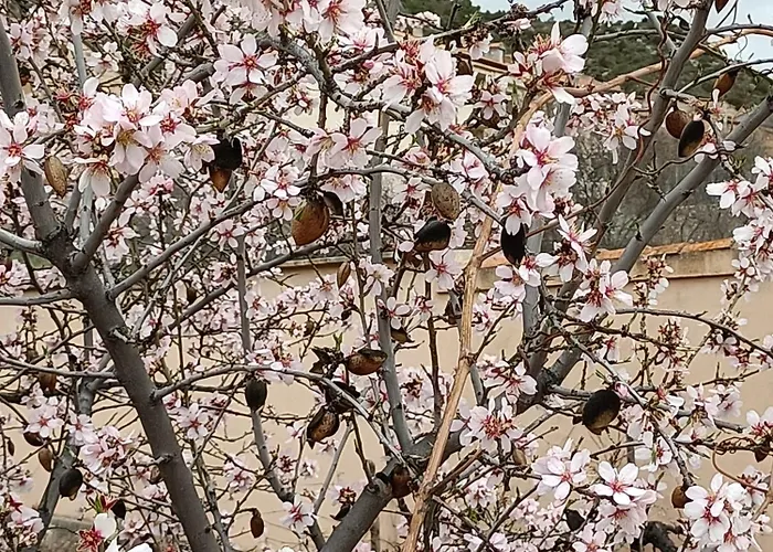Rurales La Capellanía De Apartahotel