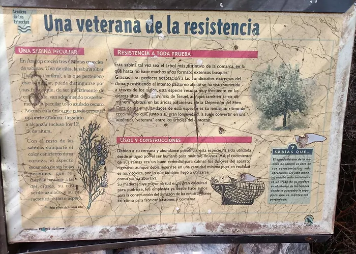 Rurales La Capellanía De